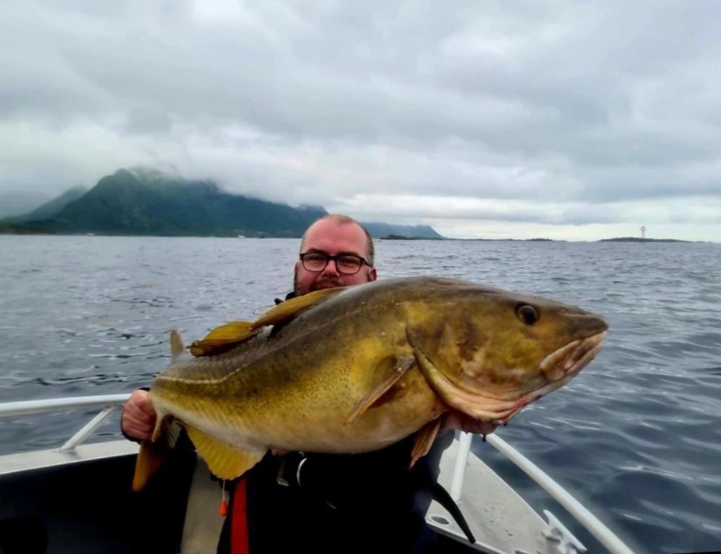 Lofoten And Vesteralen Kveldro Myrland Экстерьер фото