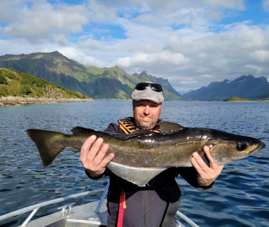 Lofoten And Vesteralen Kveldro Myrland Экстерьер фото