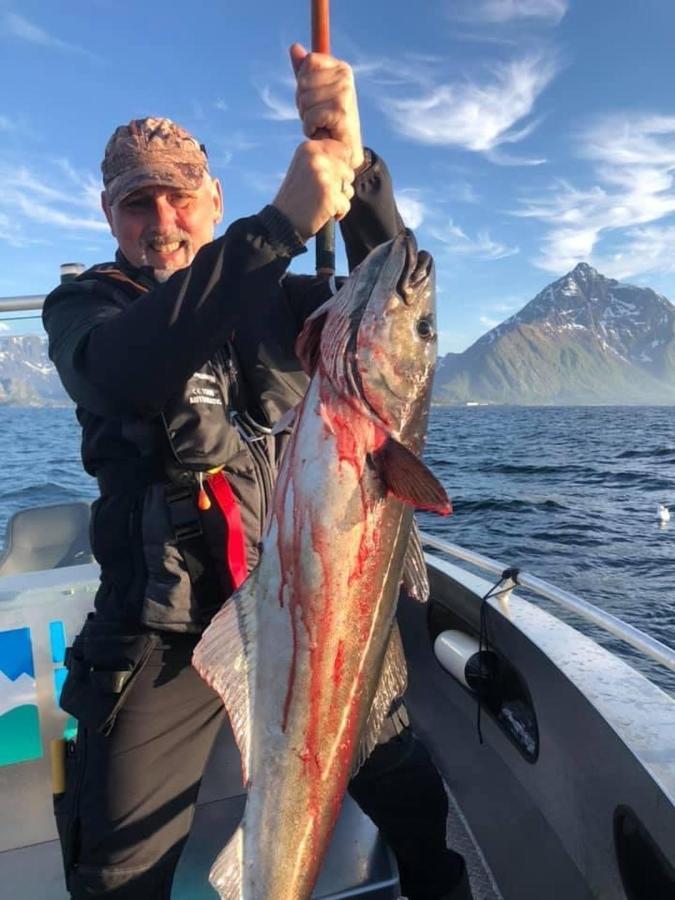 Lofoten And Vesteralen Kveldro Myrland Экстерьер фото