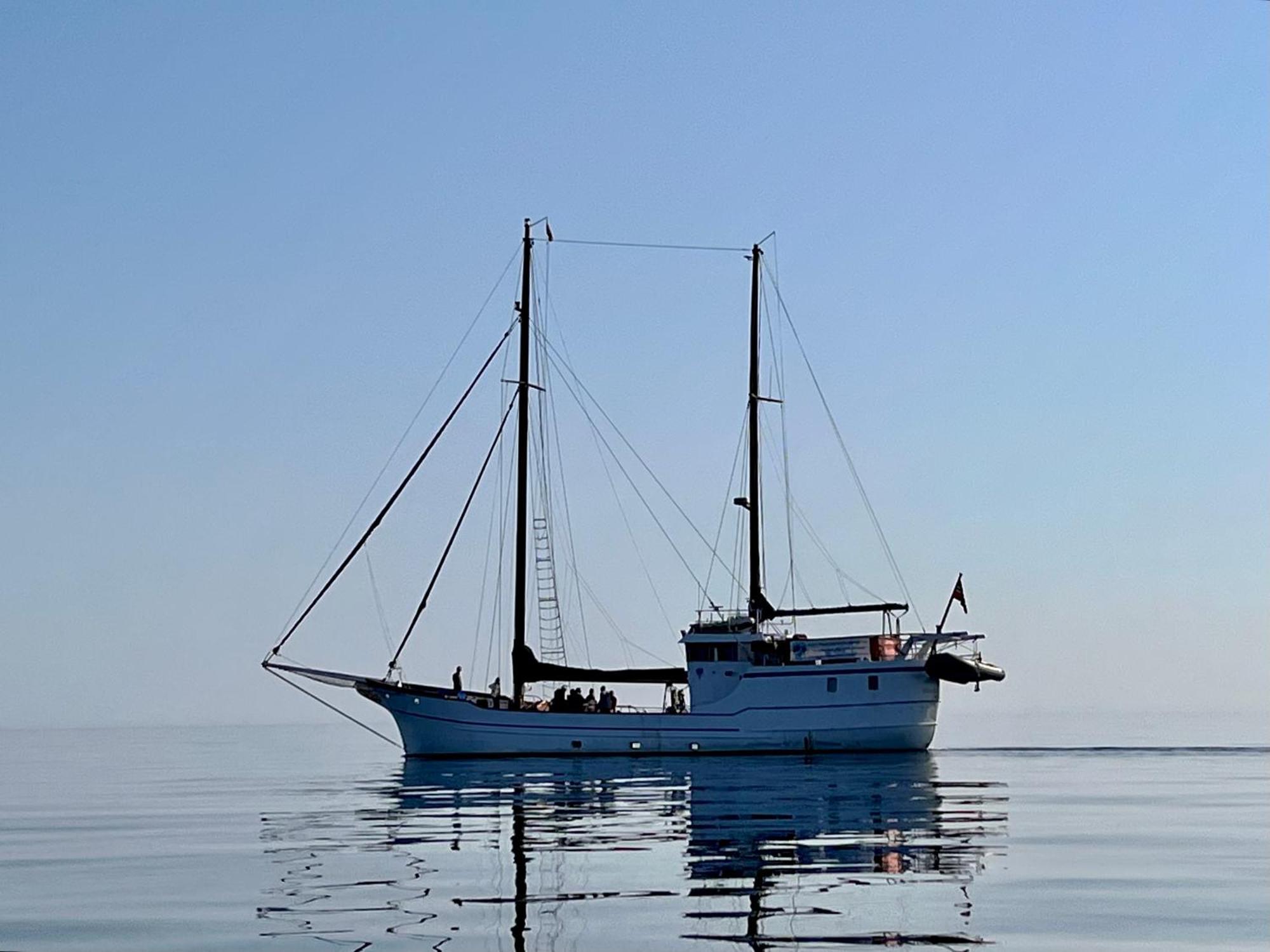 Lofoten And Vesteralen Kveldro Myrland Экстерьер фото