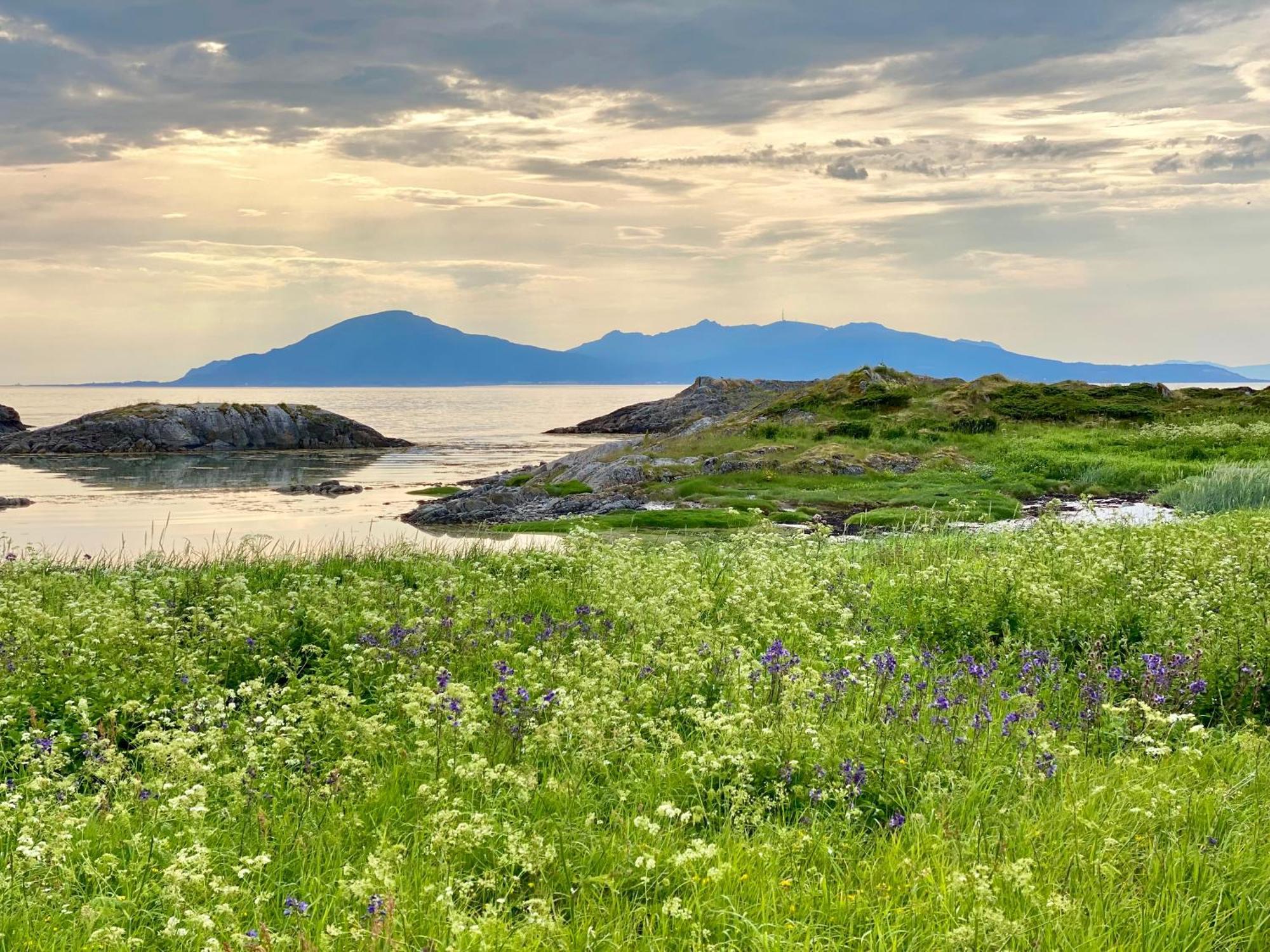 Lofoten And Vesteralen Kveldro Myrland Экстерьер фото