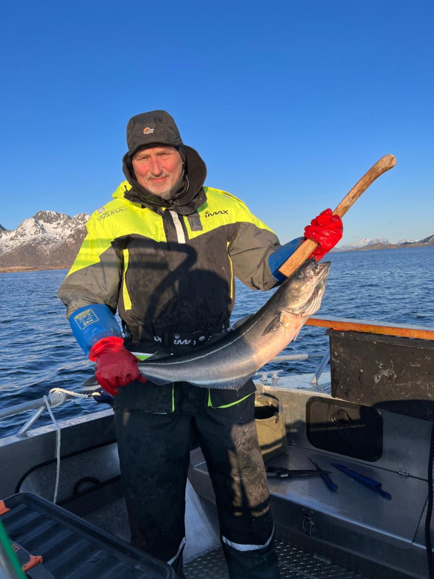 Lofoten And Vesteralen Kveldro Myrland Экстерьер фото